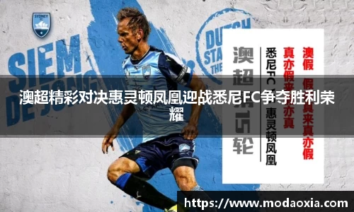 澳超精彩对决惠灵顿凤凰迎战悉尼FC争夺胜利荣耀